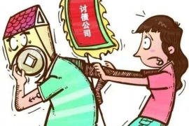 宝兴要账公司更多成功案例详情